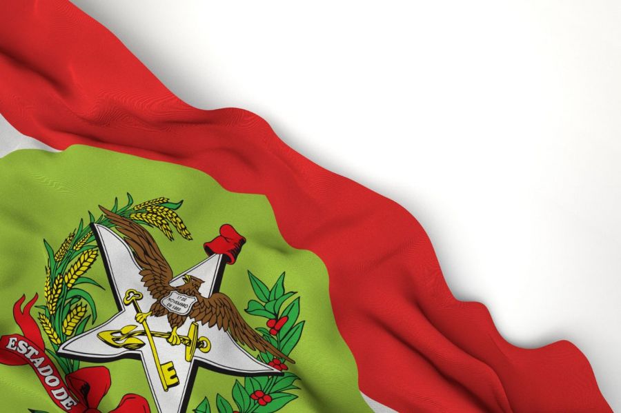Main advantages of importing through Santa Catarina