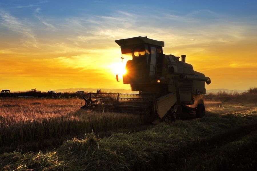 O mercado brasileiro de exportação no agronegócio e os atuais desafios