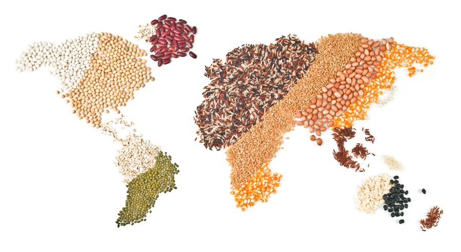 Exportação de alimentos: confira como é o processo