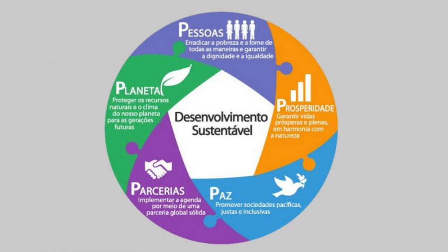 Os 5 P´s da