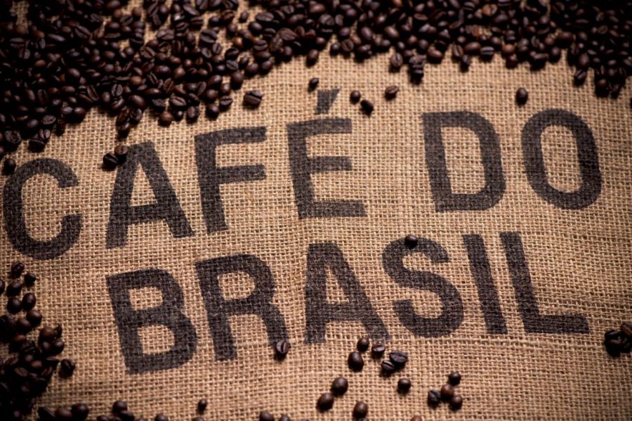 Café brasileiro: 5 passos essenciais para a exportação