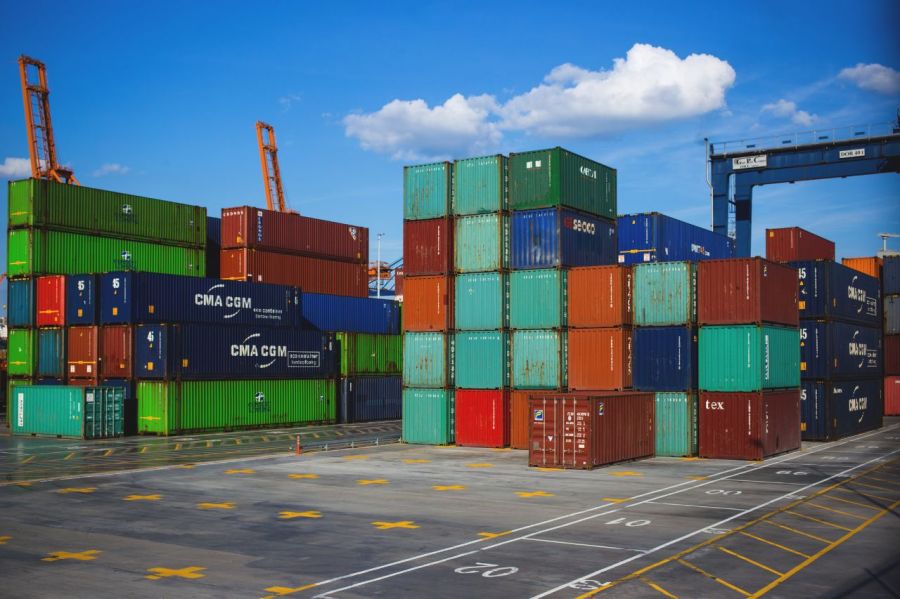 How exports of forest products work