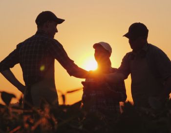 Quais são as principais exportações do agronegócio brasileiro?