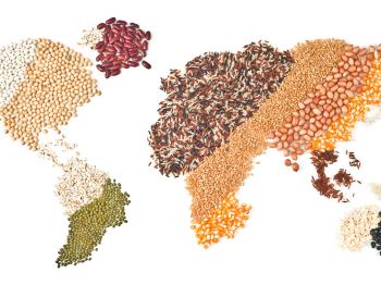 Exportação de alimentos: confira como é o processo