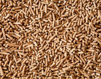 Vale a pena exportar pellets?