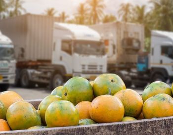 Conheça as funcionalidades dos equipamentos para  Reefer